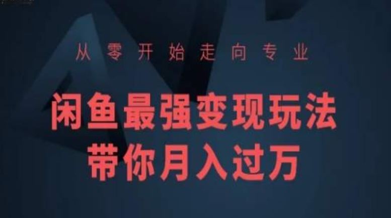 从零开始走向专业，闲鱼最强变现玩法带你月入过万-来此网赚