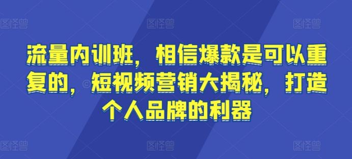 流量内训班，相信爆款是可以重复的，短视频营销大揭秘，打造个人品牌的利器-来此网赚