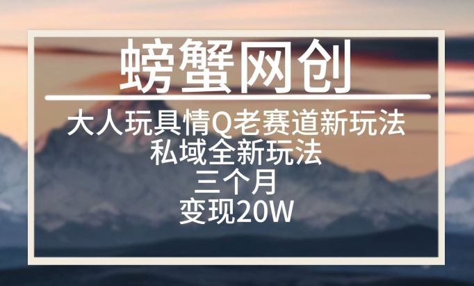 大人玩具情Q用品赛道私域全新玩法，三个月变现20W，老项目新思路【揭秘】-来此网赚