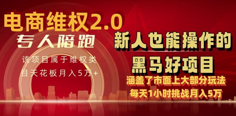 电商维权 4.0 如何做到月入 5 万+每天 1 小时新人也能快速上手【仅揭秘】-来此网赚