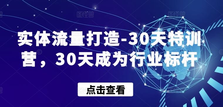 实体流量打造-30天特训营，30天成为行业标杆-来此网赚