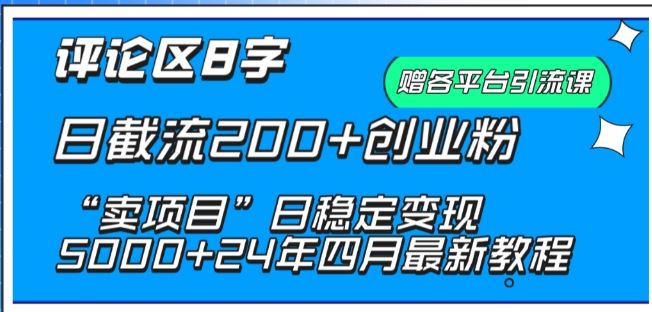 抖音评论区8字日截流200+创业粉 “卖项目”日稳定变现5000+【揭秘】-来此网赚