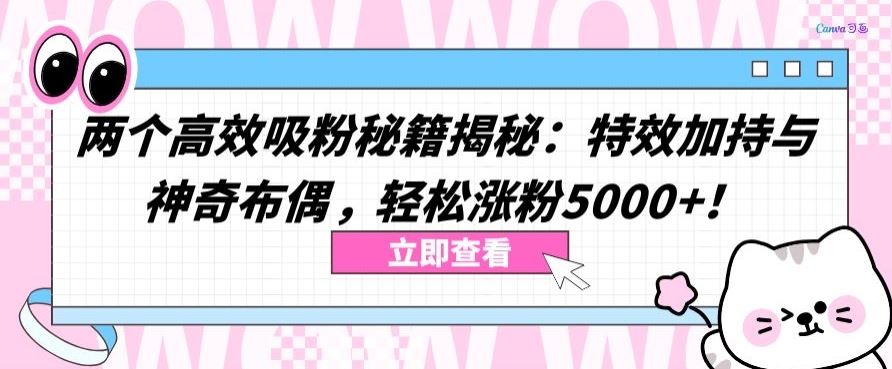 两个高效吸粉秘籍揭秘：特效加持与神奇布偶，轻松涨粉5000+【揭秘】-来此网赚