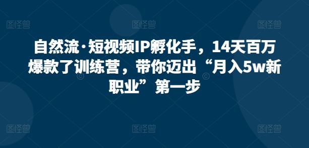 自然流·短视频IP孵化手，14天百万爆款了训练营，带你迈出“月入5w新职业”第一步-来此网赚