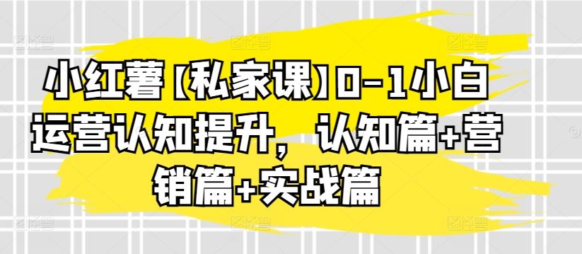 小红薯【私家课】0-1小白运营认知提升，认知篇+营销篇+实战篇-来此网赚