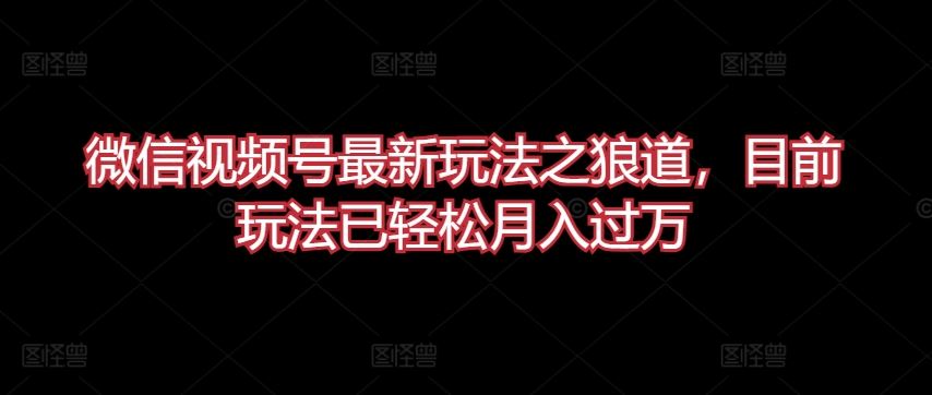 微信视频号最新玩法之狼道，目前玩法已轻松月入过万【揭秘】-来此网赚