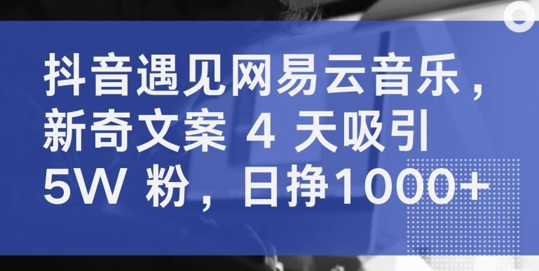 抖音遇见网易云音乐，新奇文案 4 天吸引 5W 粉，日挣1000+【揭秘】-来此网赚