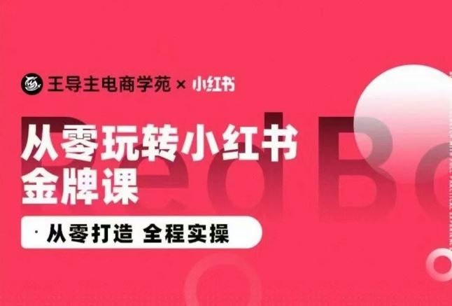 王导主·小红书电商运营实操课，​从零打造  全程实操-来此网赚