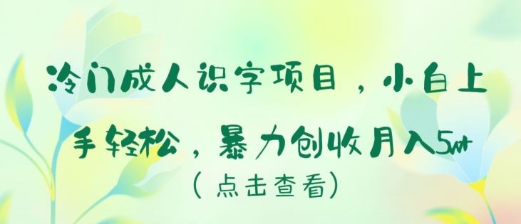 冷门成人识字项目，小白上手轻松，暴力创收月入5w+【揭秘】-来此网赚