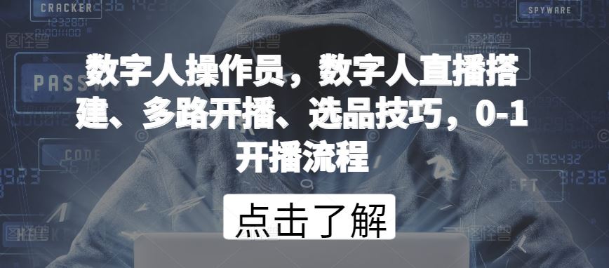 数字人操作员，数字人直播搭建、多路开播、选品技巧，0-1开播流程-来此网赚