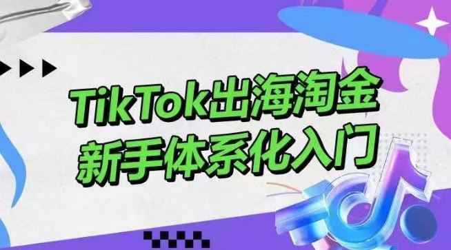 TikTok出海淘金，新手体系化入门，零基础快速入门，掌握短视频、直播带货等引流到变现的知识-来此网赚