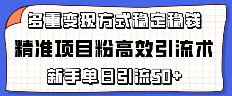 精准项目粉高效引流术，新手单日引流50+，多重变现方式稳定赚钱【揭秘】-来此网赚