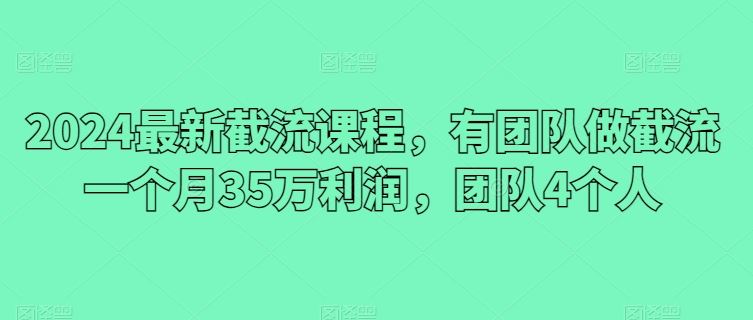 2024最新截流课程，有团队做截流一个月35万利润，团队4个人-来此网赚