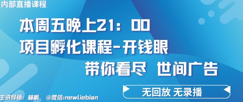 4.26日内部回放课程《项目孵化-开钱眼》赚钱的底层逻辑【揭秘】-来此网赚