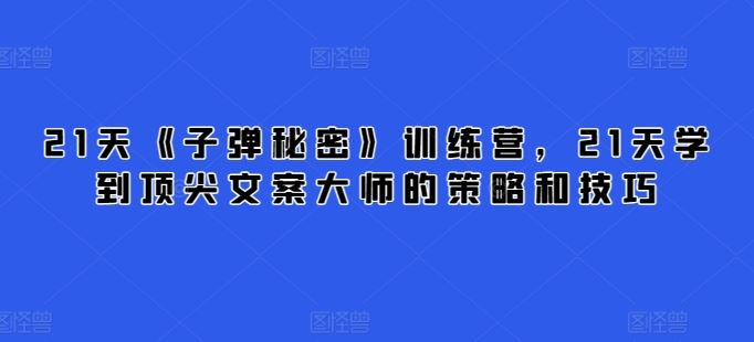 21天《子弹秘密》训练营，21天学到顶尖文案大师的策略和技巧-来此网赚