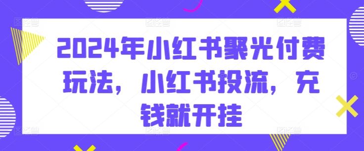 2024年小红书聚光付费玩法，小红书投流，充钱就开挂-来此网赚