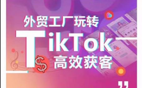 外贸工厂玩转TikTok高效获客，多种引流方式与账号定位技巧，拆解爆款短视频打造成功案例-来此网赚