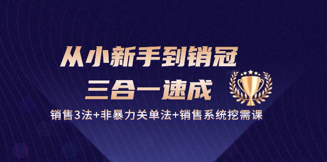 从小新手到销冠三合一速成：销售3法+非暴力关单法+销售系统挖需课 (27节)-来此网赚