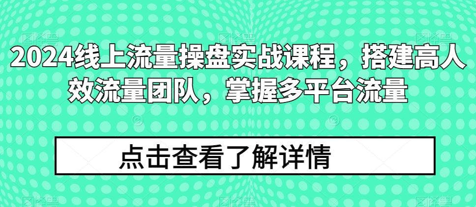 2024线上流量操盘实战课程，搭建高人效流量团队，掌握多平台流量-来此网赚