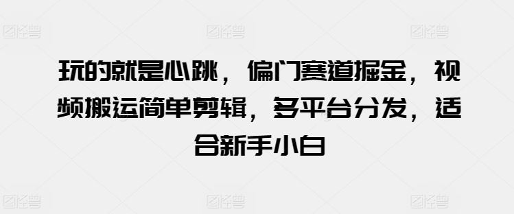 玩的就是心跳，偏门赛道掘金，视频搬运简单剪辑，多平台分发，适合新手小白【揭秘】-来此网赚