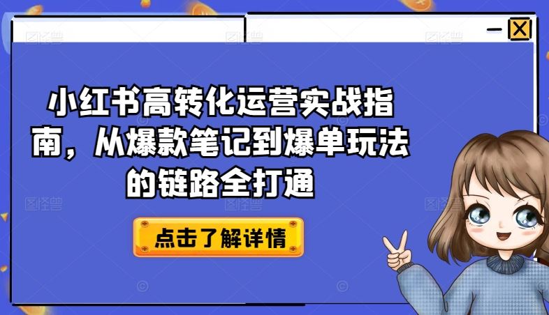 小红书高转化运营实战指南，从爆款笔记到爆单玩法的链路全打通-来此网赚