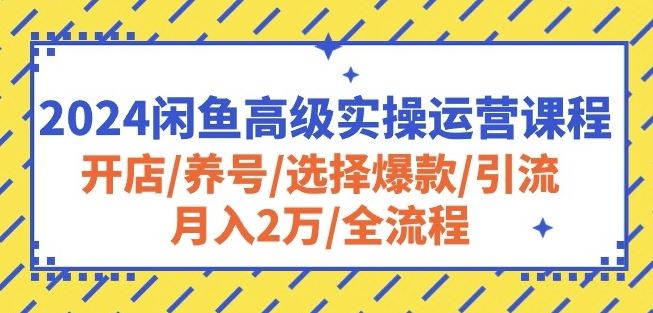 2024闲鱼高级实操运营课程：开店/养号/选择爆款/引流/月入2万/全流程-来此网赚