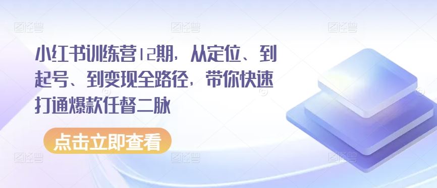 小红书训练营12期，从定位、到起号、到变现全路径，带你快速打通爆款任督二脉-来此网赚