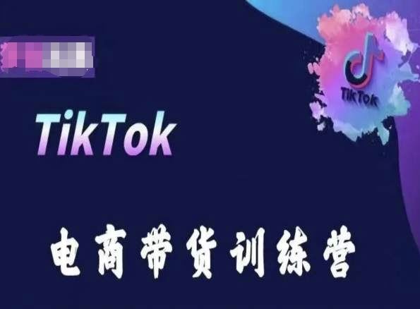 TikTok电商带货训练营，跟随时代潮流，跨境掘金-来此网赚