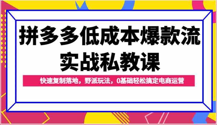 拼多多低成本爆款流实战私教课，快速复制落地，野派玩法，0基础轻松搞定电商运营-来此网赚