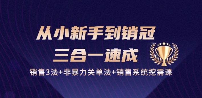 从小新手到销冠 三合一速成：销售3法+非暴力关单法+销售系统挖需课 (27节)-来此网赚