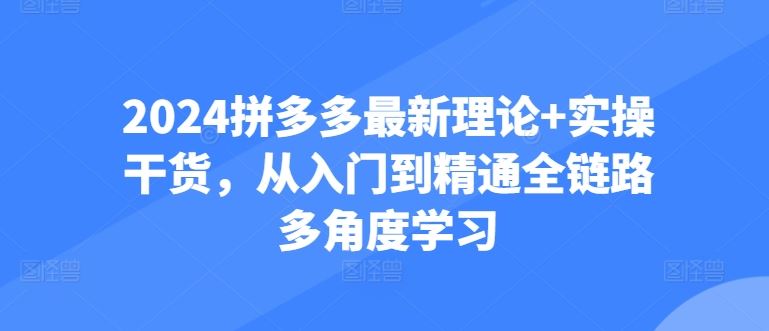 2024拼多多最新理论+实操干货，从入门到精通全链路多角度学习-来此网赚