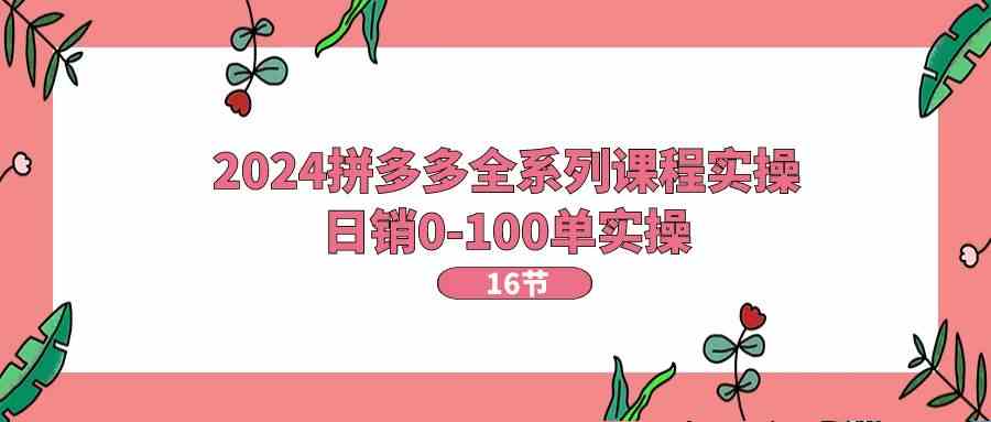 2024拼多多全系列课程实操，日销0-100单实操【16节课】-来此网赚