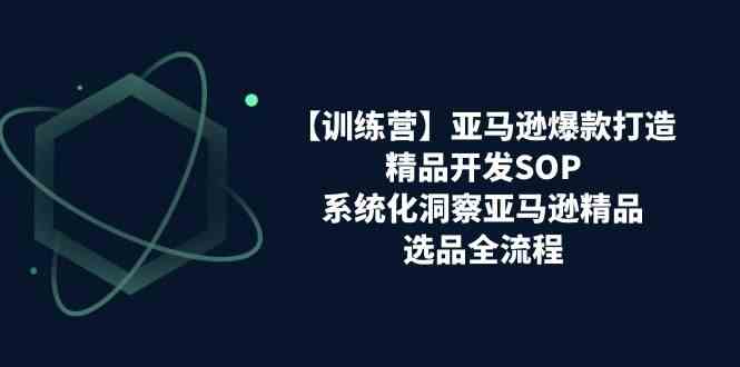 亚马逊爆款打造之精品开发SOP【训练营】，系统化洞察亚马逊精品选品全流程-来此网赚