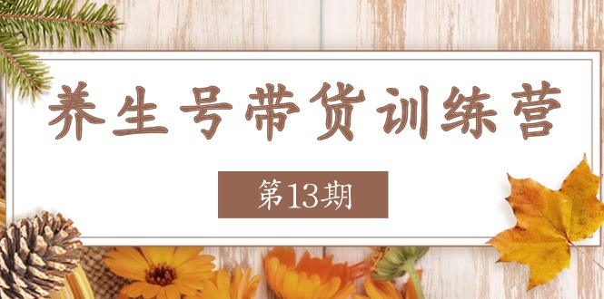 养生号带货训练营【第13期】收益更稳定的玩法，让你带货收益爆炸-来此网赚