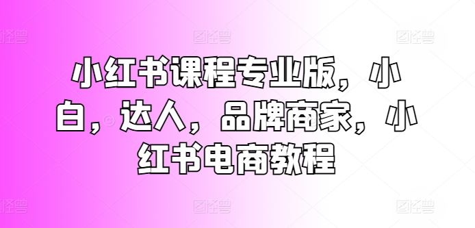 小红书课程专业版，小白，达人，品牌商家，小红书电商教程-来此网赚