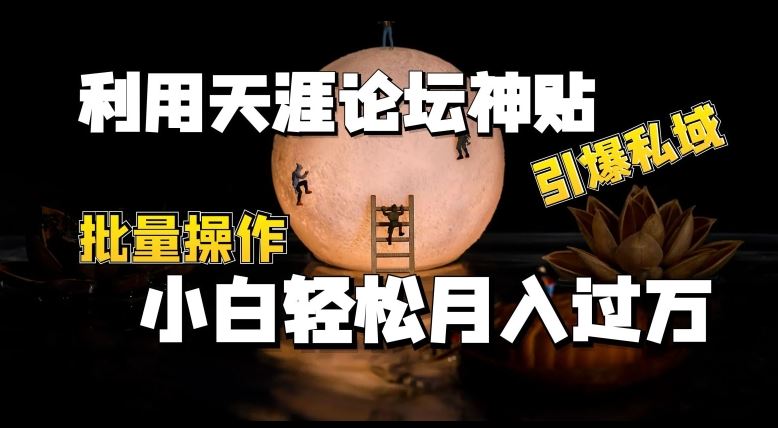 利用天涯论坛神贴，引爆私域，批量操作，小白轻松月入过w【揭秘】-来此网赚