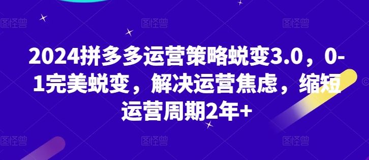 2024拼多多运营策略蜕变3.0，0-1完美蜕变，解决运营焦虑，缩短运营周期2年+-来此网赚