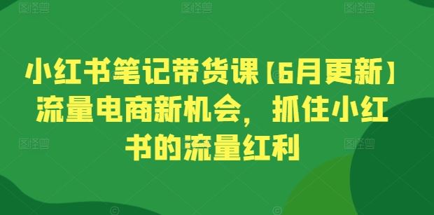 小红书笔记带货课【6月更新】流量电商新机会，抓住小红书的流量红利-来此网赚