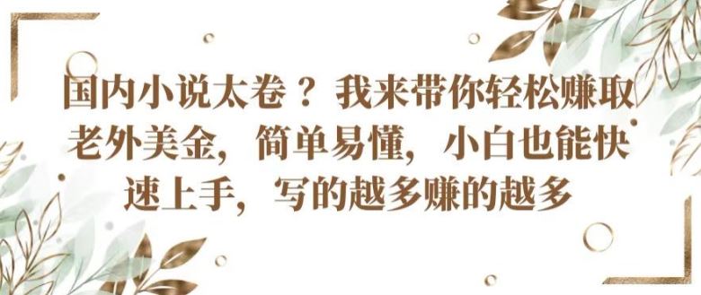 国内小说太卷 ?带你轻松赚取老外美金，简单易懂，小白也能快速上手，写的越多赚的越多【揭秘】-来此网赚