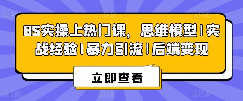 8S实操上热门课，思维模型|实战经验|暴力引流|后端变现-来此网赚