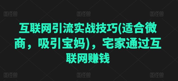 互联网引流实战技巧(适合微商，吸引宝妈)，宅家通过互联网赚钱-来此网赚