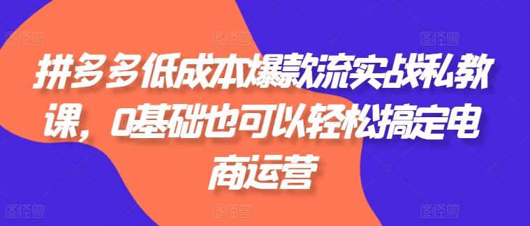 拼多多低成本爆款流实战私教课，0基础也可以轻松搞定电商运营-来此网赚