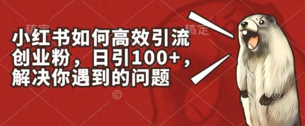 小红书如何高效引流创业粉，日引100+，解决你遇到的问题【揭秘】-来此网赚