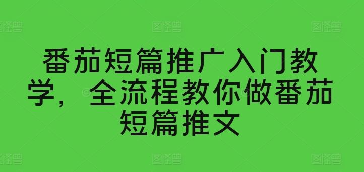 番茄短篇推广入门教学，全流程教你做番茄短篇推文-来此网赚