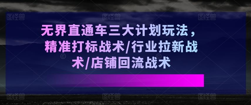 无界直通车三大计划玩法，精准打标战术/行业拉新战术/店铺回流战术-来此网赚