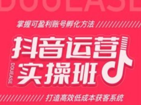 抖音运营实操班，掌握可盈利账号孵化方法，打造高效低成本获客系统-来此网赚