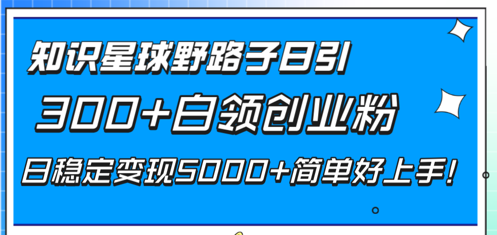 （8315期）知识星球野路子日引300+白领创业粉，日稳定变现5000+简单好上手！-来此网赚