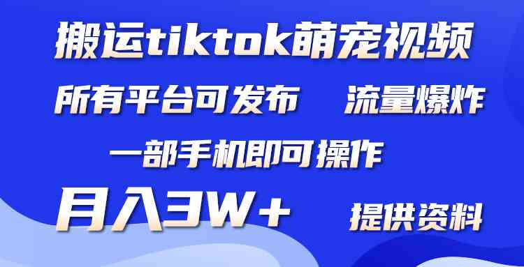 （9618期）搬运Tiktok萌宠类视频，一部手机即可。所有短视频平台均可操作，月入3W+-来此网赚