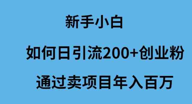 （9668期）新手小白如何日引流200+创业粉通过卖项目年入百万-来此网赚