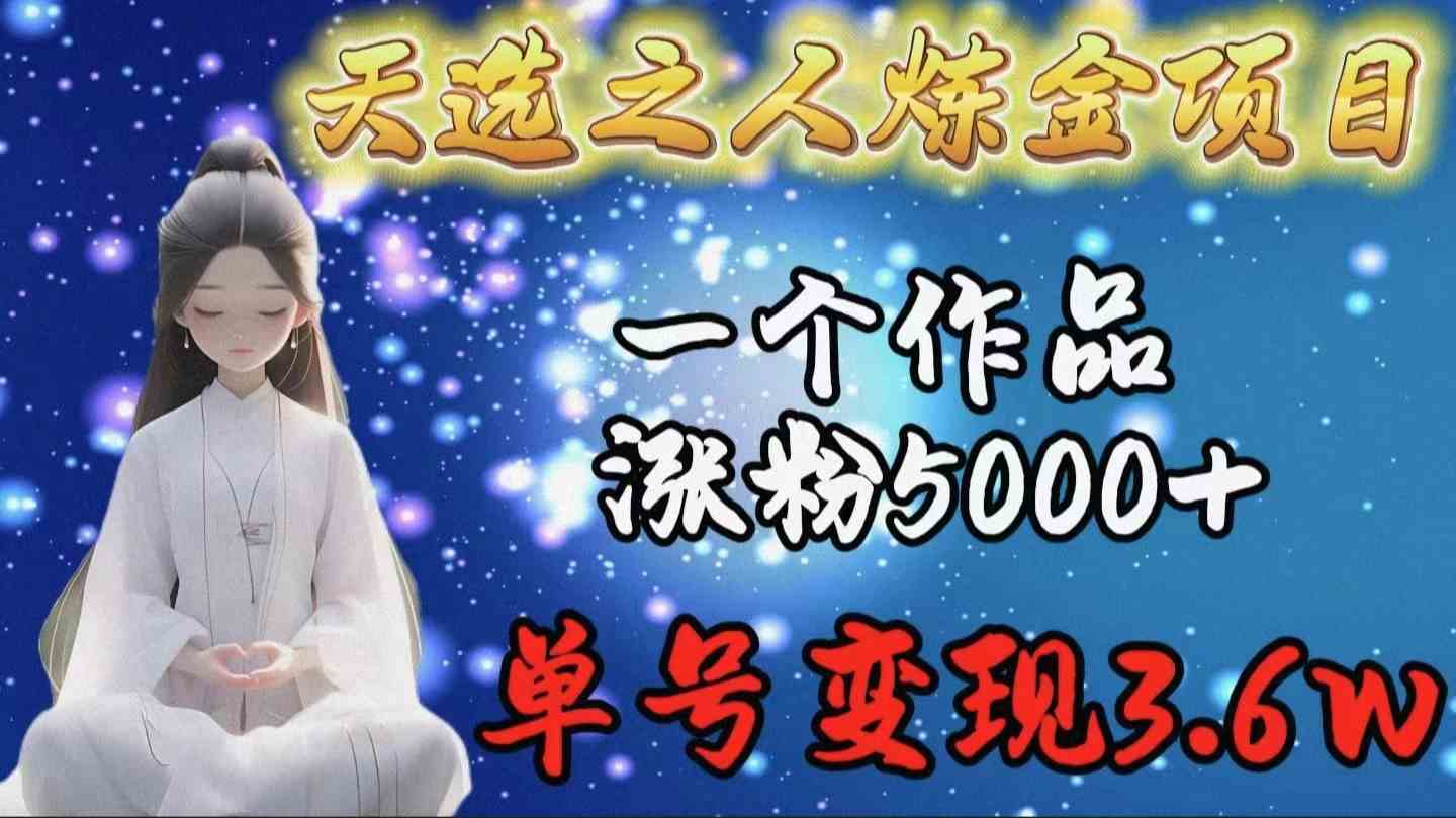 （9693期）天选之人炼金项目，一个作品涨粉5000+，单号变现3.6w-来此网赚